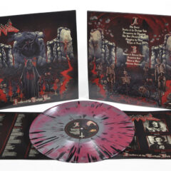 Desolus - Dwellers of the Twilight Void (LP - Silver/Oxblood/Black)