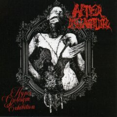 Afterdismantling - Hyper Grotesque Exhibition