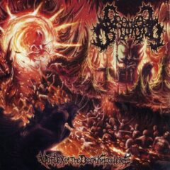 Cranial Osteotomy -Vortex of the Dark Knowledge