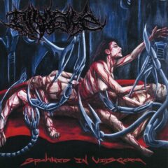 Divulsive - Spawned in Viscera